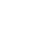 Vector